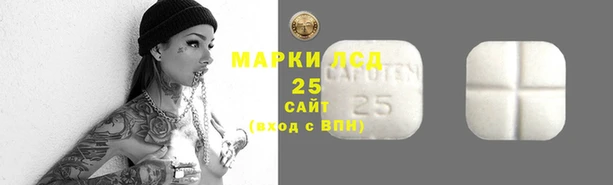 ГАЛЛЮЦИНОГЕННЫЕ ГРИБЫ Карпинск