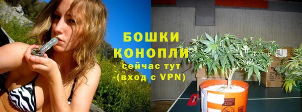 мескалин Касимов