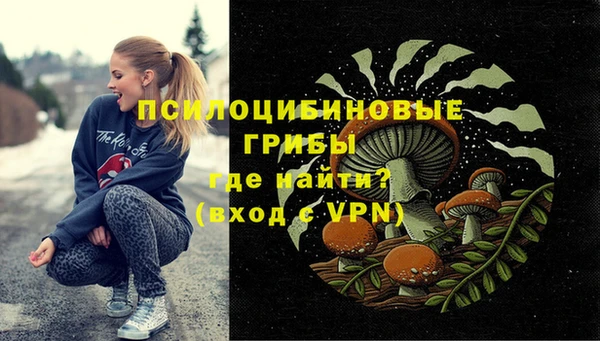 мескалин Касимов