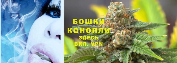 ГАЛЛЮЦИНОГЕННЫЕ ГРИБЫ Карпинск